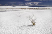 USA, New Mexico, White Sands National Monunment.