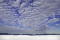 USA, New Mexico, White Sands National Monunment.