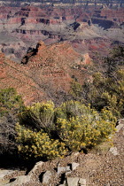 USA, Arizona, Grand Canyon, South Rim view from Yavapai Point.