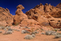 USA, Nevada, Valley of Fire State Park,