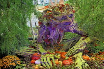 USA, Nevada, Las Vegas, The Strip, colourful display in the botanical gardens of the Bellagio hotel.