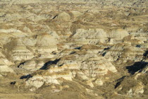 Canada, Alberta, Badlands, Dinosaur Provincial Park near Brooks UNESCO World Heritage Site is one of the most important fossil beds in the world, much of the park is a Natural Preserve and is off limi...