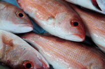 Mexico, Guerrero, Zihuatanejo, Close, cropped view of red snapper fish for sale.