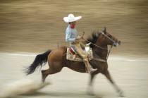 Mexico, Bajio, Zacatecas, Traditional horseman or Charro performing at Mexican rodeo. Single horse and rider in blur of movement.