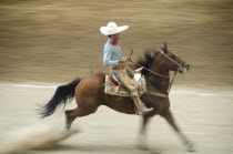 Mexico, Bajio, Zacatecas, Traditional horseman or Charro performing at Mexican rodeo. Single horse and rider in blur of movement.