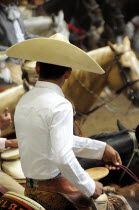 Mexico, Bajio, Zacatecas, Traditional horseman or Charro at Mexican rodeo.