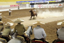 Mexico, Bajio, Zacatecas, Traditional horsemen or Charros competing in Mexican rodeo.