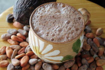 Mexico, Oaxaca, Chocolate caliente, hot chocolate in painted cup with cocoa beans and pod.