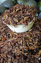 Mexico, Oaxaca, Dried chapulines or grasshoppers.