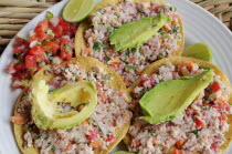 Mexico, Jalisco, Puerto Vallarta, Fish ceviche served with tacos, avocado and tomato salsa.