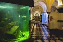 England, East Sussex, Brighton, Interior of the Sea Life Centre underground Aquarium on the seafront.