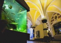 England, East Sussex, Brighton, Interior of the Sea Life Centre underground Aquarium on the seafront.