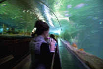 England, East Sussex, Brighton, Interior of the Sea Life Centre underground Aquarium on the seafront, curved glass tunnel under water.