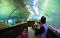 England, East Sussex, Brighton, Interior of the Sea Life Centre underground Aquarium on the seafront, curved glass tunnel under water.
