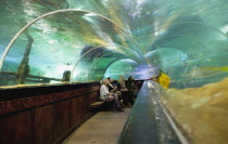 England, East Sussex, Brighton, Interior of the Sea Life Centre underground Aquarium on the seafront, curved glass tunnel under water.
