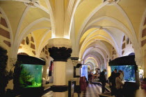 England, East Sussex, Brighton, Interior of the Sea Life Centre underground Aquarium on the seafront.