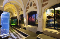 England, East Sussex, Brighton, Interior of the Sea Life Centre underground Aquarium on the seafront.