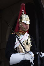 England, London, Westminster, Whitehall, Horse Guards Parade, member of the Household Cavalry on horseback.