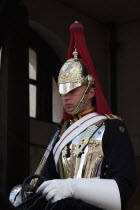 England, London, Westminster, Whitehall, Horse Guards Parade, member of the Household Cavalry asleep on horseback.