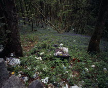 Wales, Gwynedd, Environment, Discarded household and general rubbish dumped in roadside bluebell wood near Porth Madog.