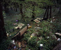 Wales, Gwynedd, Environment, Discarded household and general rubbish dumped in roadside bluebell wood near Porth Madog.