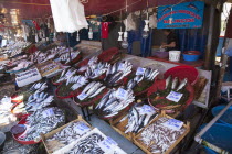 Turkey, Istanbul, Karakoy, Galata fish market, display of fresh catch.