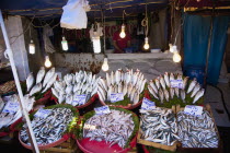 Turkey, Istanbul, Karakoy, Galata fish market, display of fresh catch.