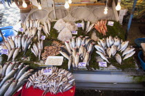 Turkey, Istanbul, Karakoy, Galata fish market, display of fresh catch.
