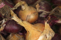 Food, Fresh, Organic, display of onions in Farmers market.