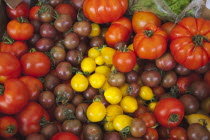 Food, Fresh, Organic, varieties of tomato on display in Farmers market.