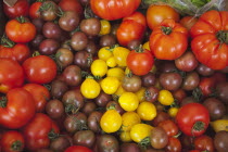 Food, Fresh, Organic, varieties of tomato on display in Farmers market.