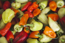 Food, Fresh, Organic Chillies on display in Farmers market.