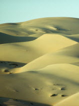 Saudia Arabia, Desert landscape with sand dunes.