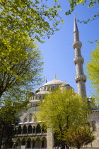 Turkey, Istanbul, Sultanahmet Camii, The Blue Mosque dome and minaret seen through trees in the gardens.