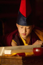 India, Sikkim, Buddhist  student monks chanting from scrolls in a monastery.