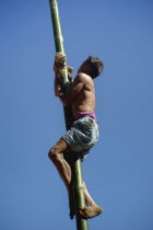 India, Nagaland, Naga Warrior tribal feat of climbing Bamboo poles.