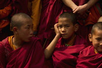 India, Sikkim, Portrait of novice Buddhist Monks.