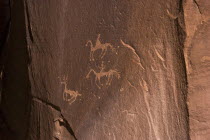 USA, Arizona, Canyon de Chelly, Petroglyphs.
