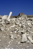 Namibia, Whale bones strewn on the beach in The Namib Naukluft desert. In the distance an abandoned diamond mine. This area is owned by De Beers and is completely restricted. It is said that diamonds...