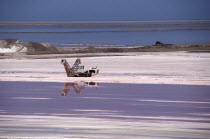 Namibia, Walvis Bay, Sea Salt drying pans.