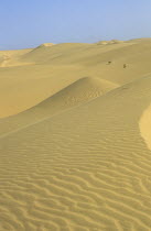 Namibia, Namib Naukluft Desert, sand dunes in the De Beers Diamond mining area.