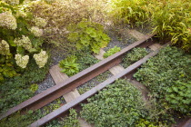 USA, New York, Manhattan, West Side, High Line, a section of the original rail line preserved on the a public park built on an historic freight rail line elevated above the streets.