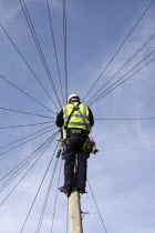 Communications, Telephones, Telecommunications engineer working on phone lines at the top of a telegraph pole.