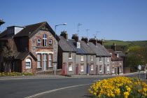 England, East Sussex, Lewes, Row of terraced houses in Little East Street with daffodils in the foreground.