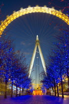 England, London, London Eye and Christmas Lights.