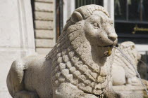 Hungary, Budapest, Lion fountain in central Pest.