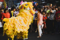 Thailand, Bangkok, Yellow Dragon in dance troupe performance for Chinese New Year show.