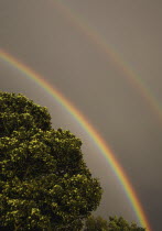 UK, Lincolnshire, Double rainbow against storm clouds.