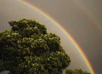 UK, Lincolnshire, Double rainbow against storm clouds.