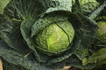 Vegetables, Brassica oleracea, Cabbage on sale at farm shop.